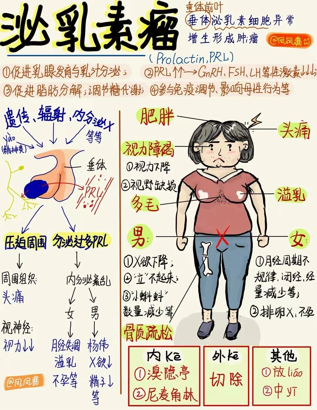📖医学生笔记｜泌乳素瘤 建议点赞收藏 🔥