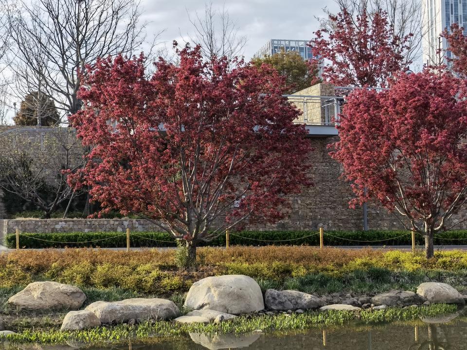 公交车上的“知识盲区”，让人笑中带泪😂
 
今天坐公交，听到后排一对父女的对话