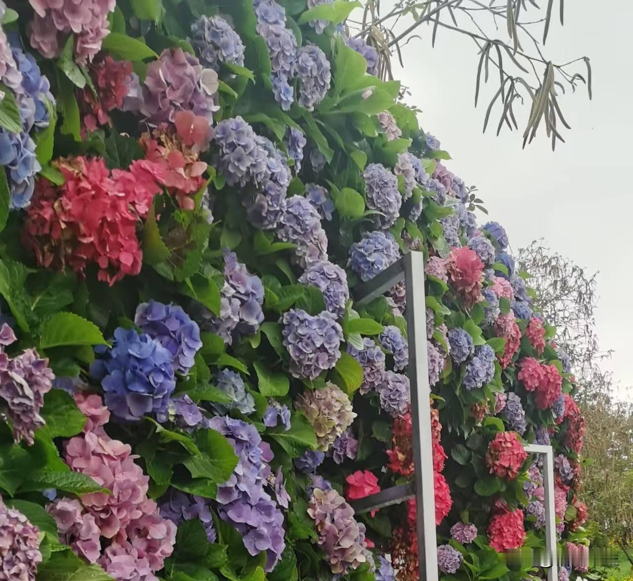 发现一个现象，街上哪家店刚火两天，旁边立马跟风开一家同样或类似的店。招牌差不多，