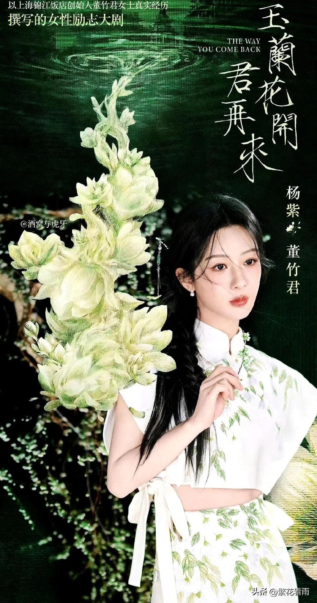 杨紫和欧豪的第三次合作，新剧《玉兰花开君再来》从官宣就超有话题度！

它改编自上