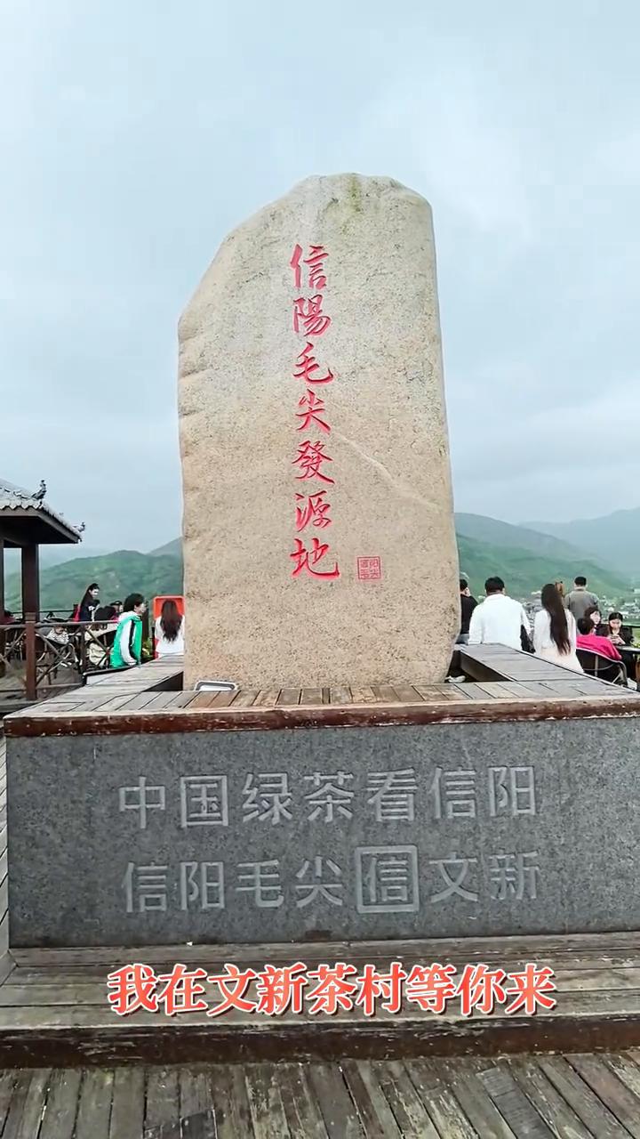 我在文新茶村等你来。
中国绿茶看信阳，信阳毛尖信我的心。