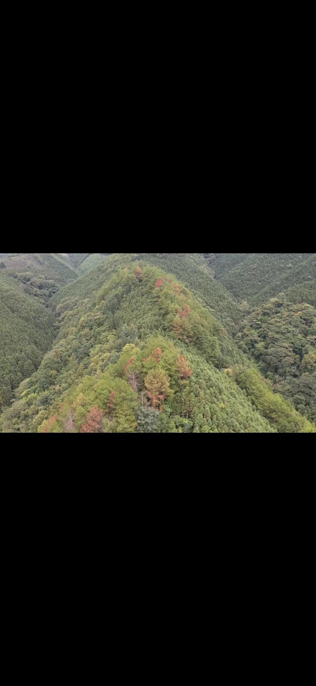 龙格挺有力的，就是底下河边是庙，俗话说神前庙后。一般人还是害怕，特别知道是庙后