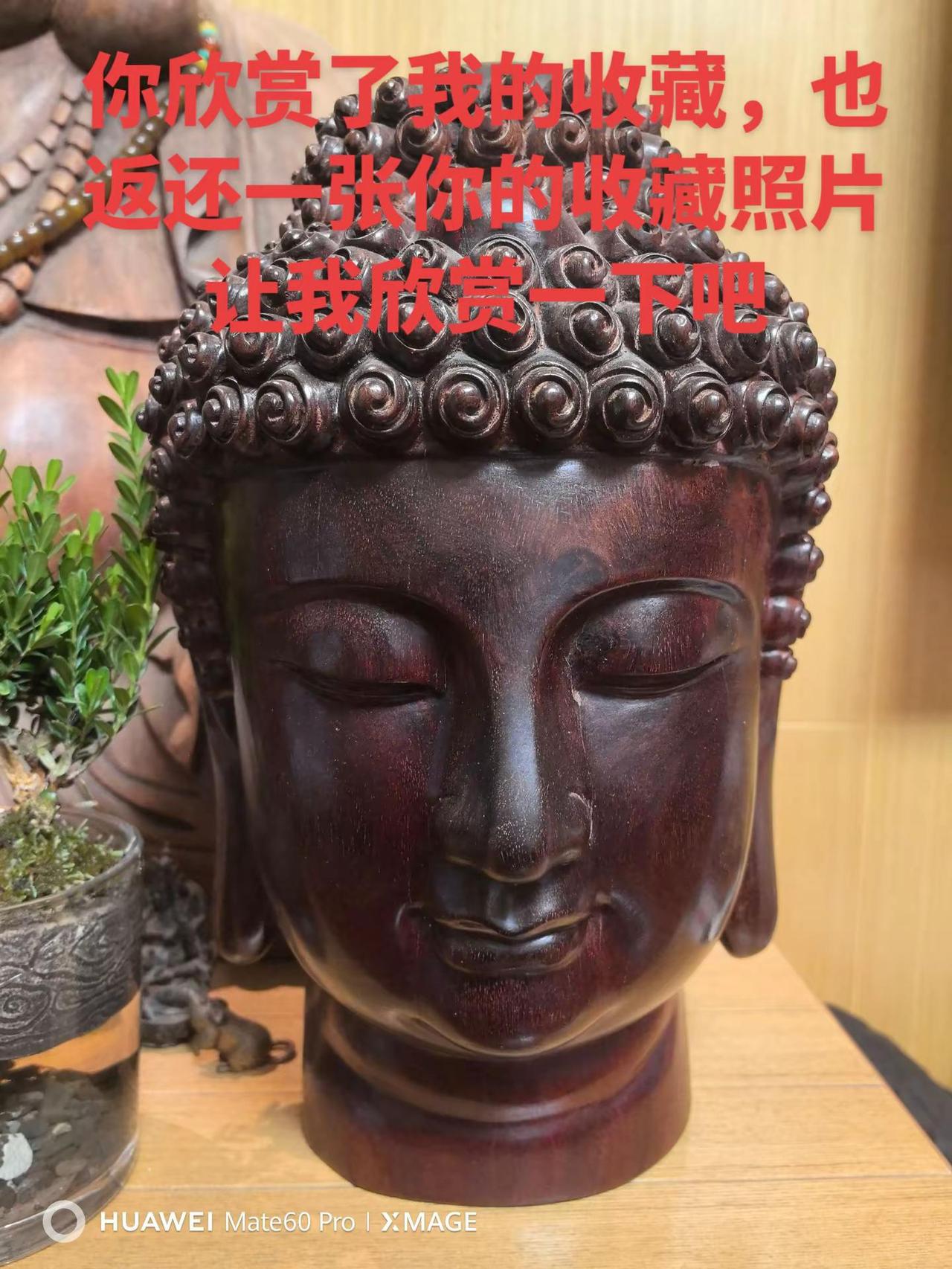 印度小叶紫檀大师精雕佛首。木雕 木雕工艺 文玩收藏上热门🔥