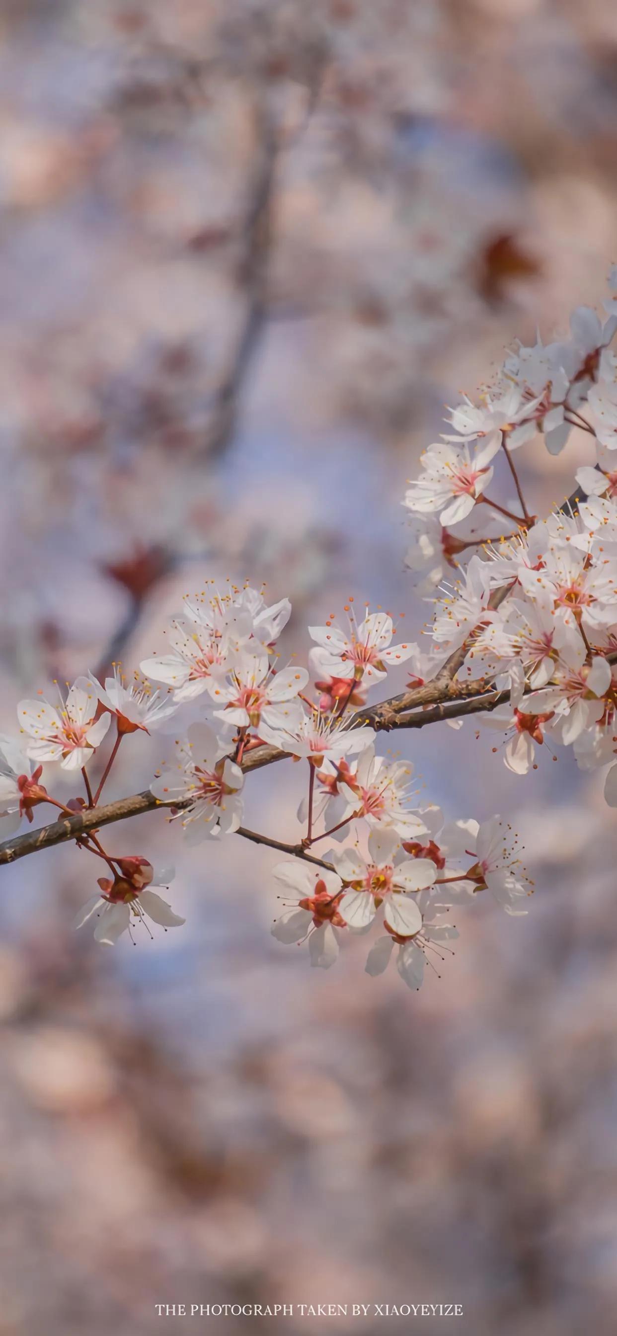 人的内心像一潭清水一样，外在的垃圾就不要放进来了。垃圾放进来后，就是一潭死水！