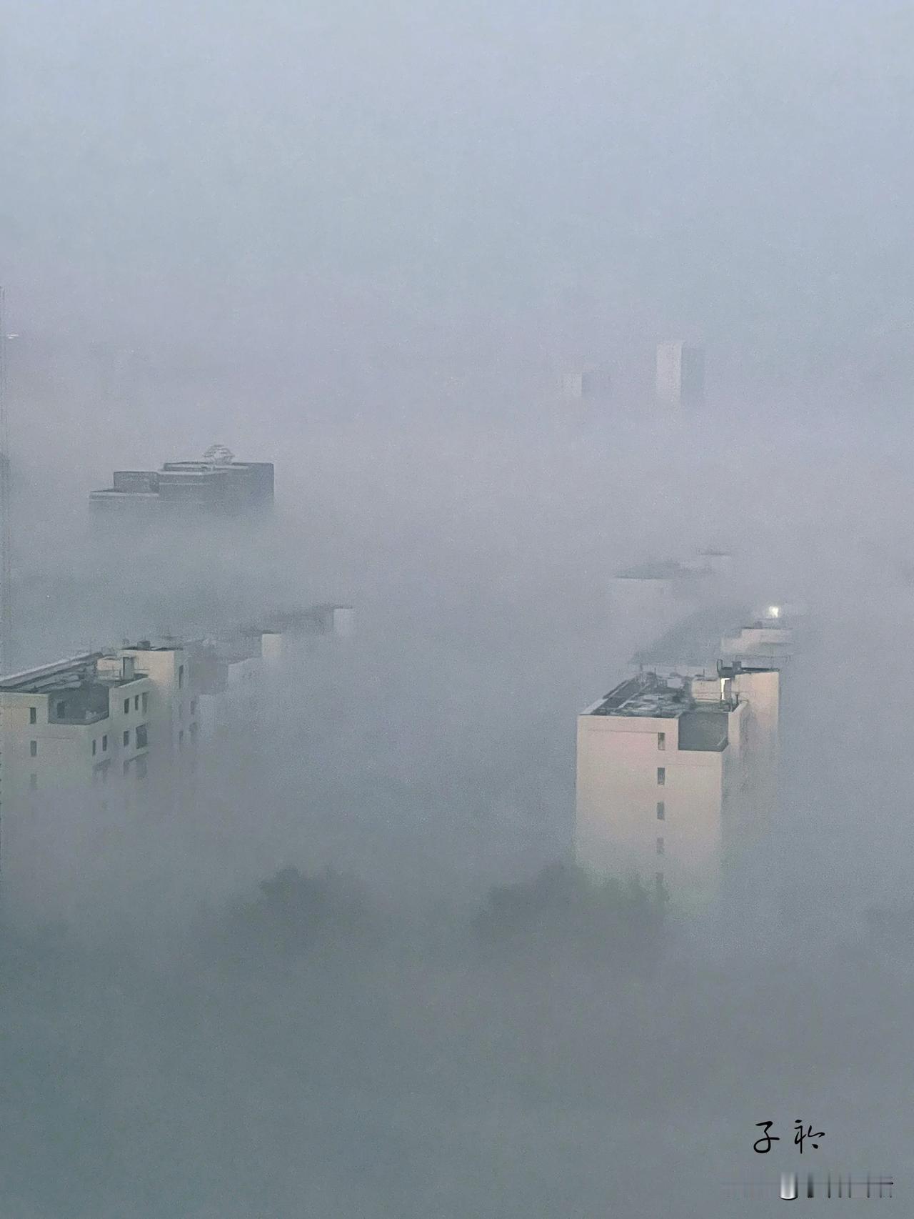 爱人起床早，大约六点钟，神秘的喊我醒一醒，说是有奇观。只见窗外晨雾笼罩，静谧而神