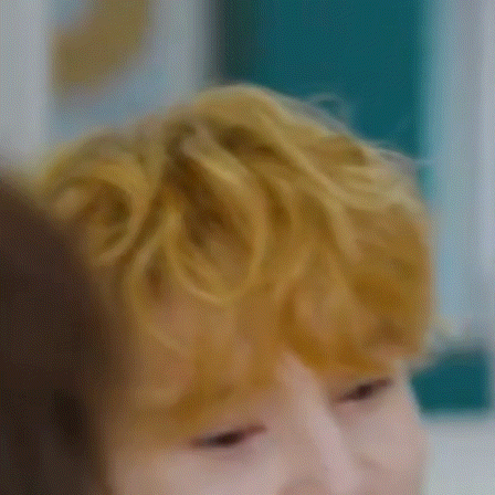 有人在角落里偷偷可爱  专栏 · 请回答宠物托管所