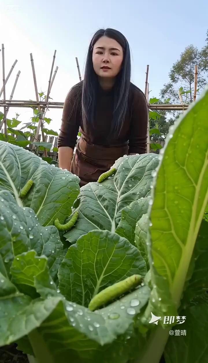 收队，任务完成。