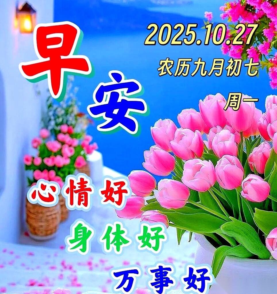 都说秋天适合思念，我看秋天最适合搞钱。
真的，早上一拉开窗帘，那股子桂花香混着凉