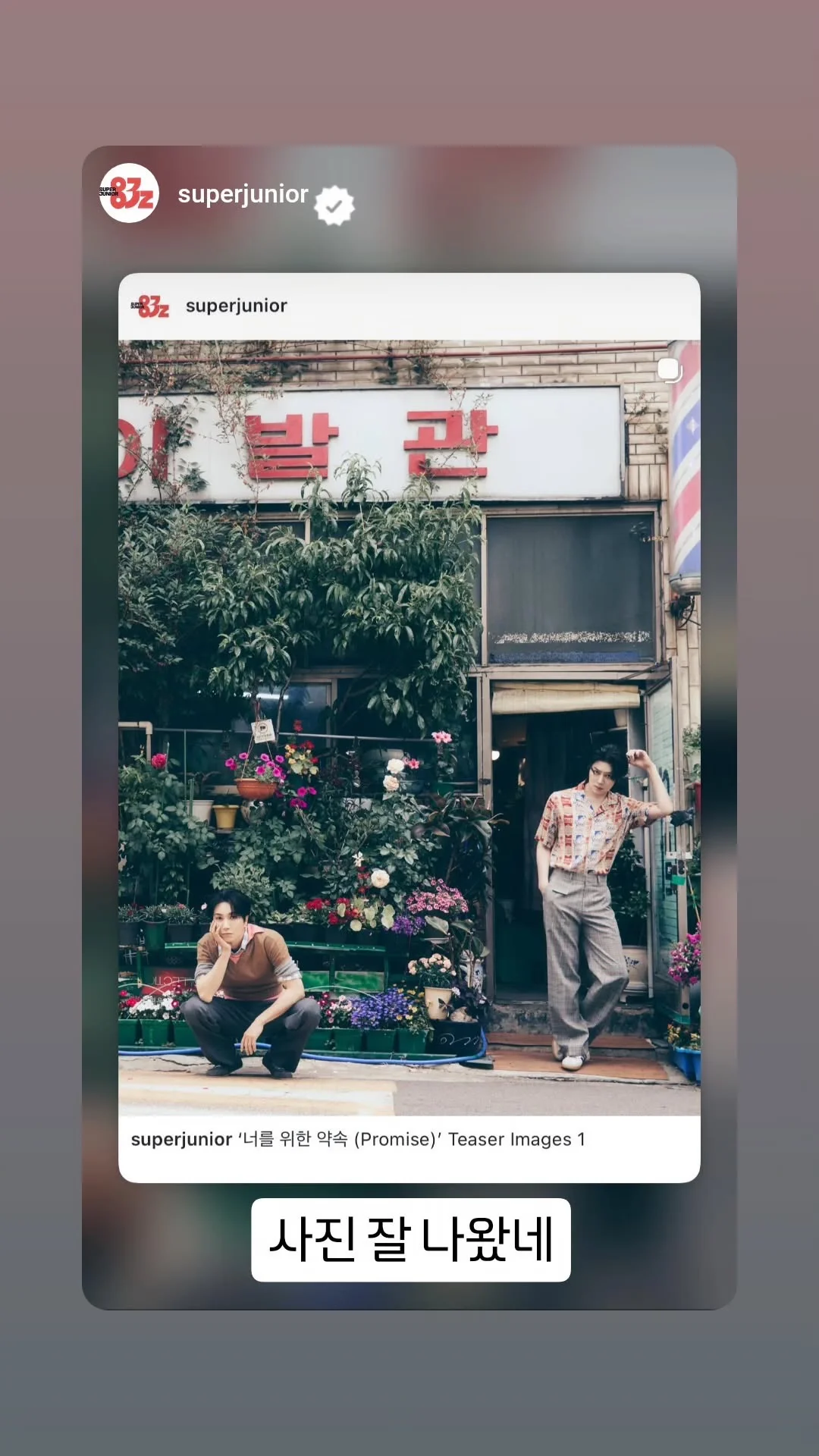 照片拍得不错