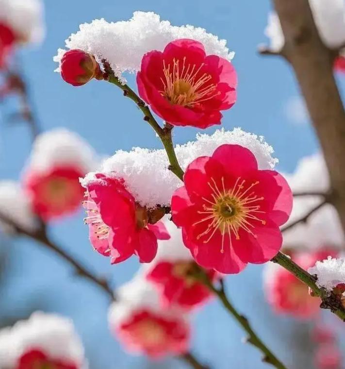 另外也可以再看这个下联：