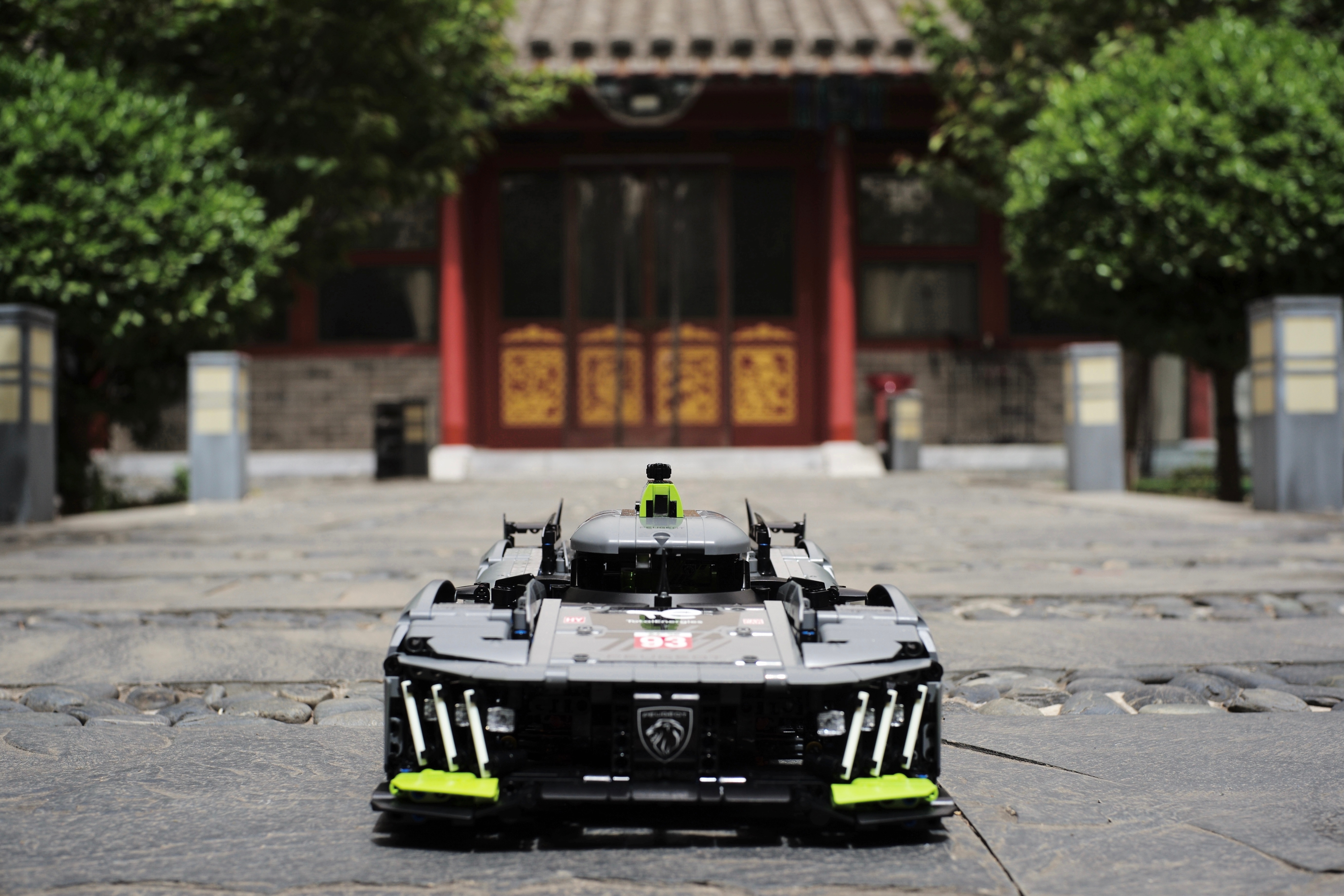 实习生小朋友又在院子里给9X8来了一组美照[喵喵]  ​​​