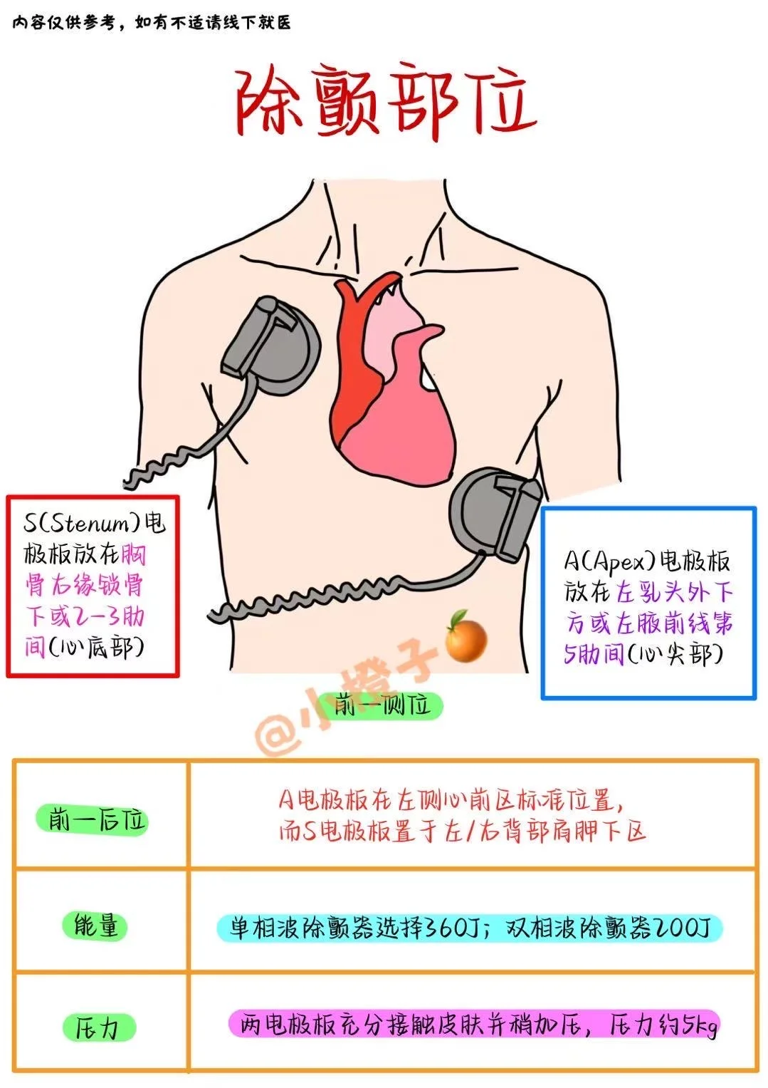 📖除颤部位｜付AED操作步骤✅