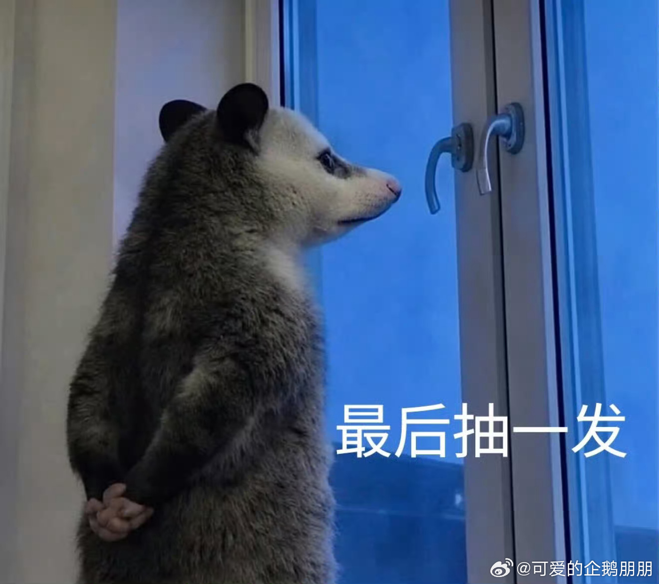 请把你的手剁了！！！谢谢！！ 