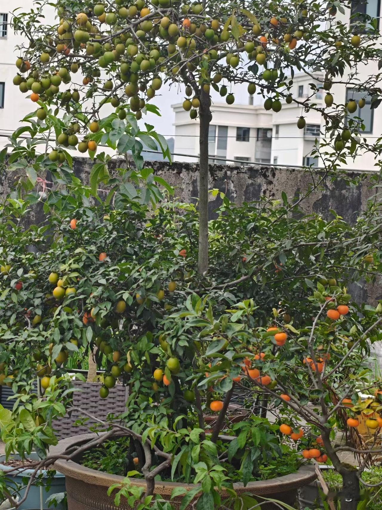 宜宾三江机械厂的招聘条件是什么？

你信吗？那个看起来靠着山，又平平无奇的厂，好