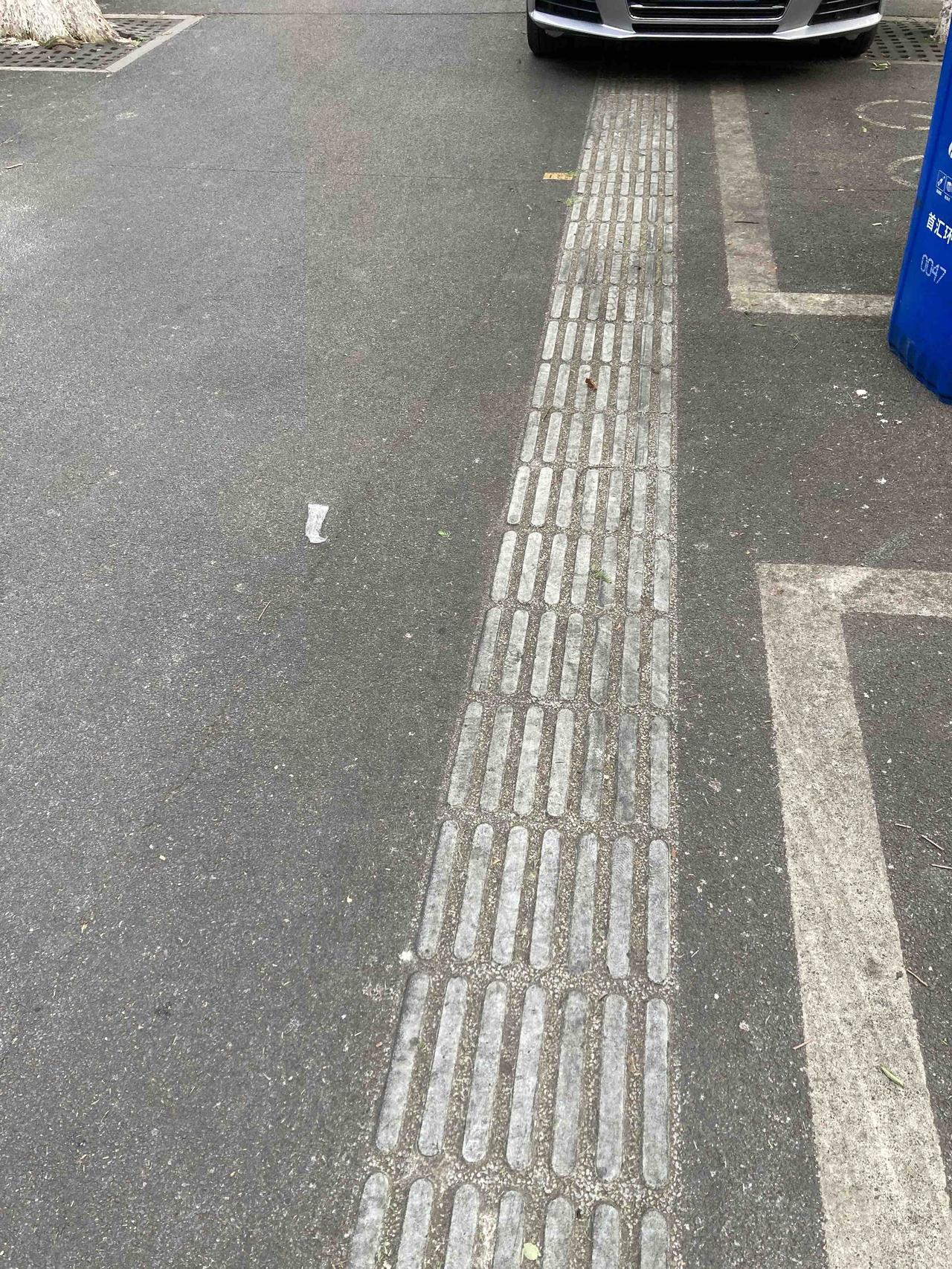 这是我们城市中心的盲道，确实被挡住了，但是，马路上真的车多人多还有很多宠物，真的