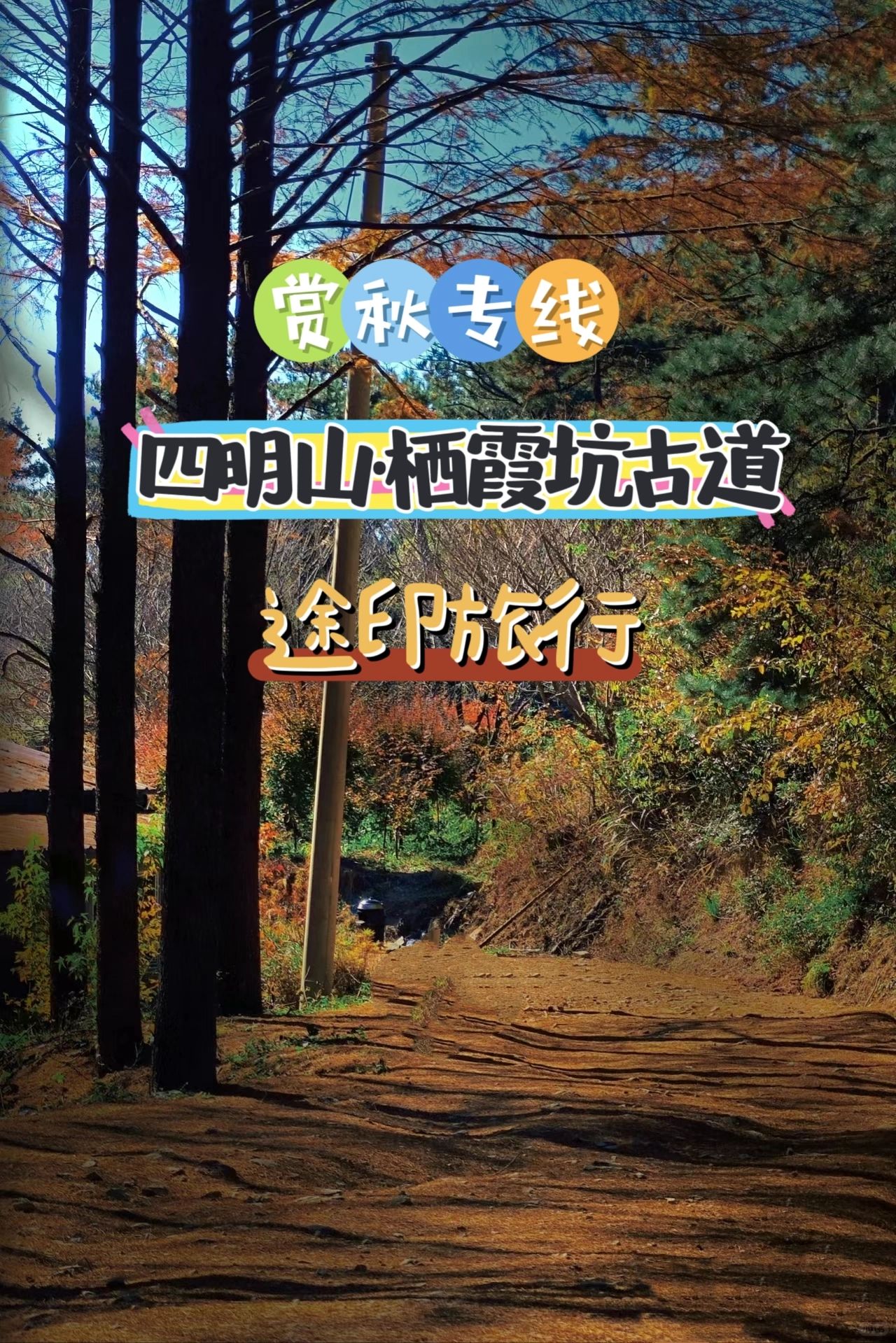 上海周边赏秋天花板 四明山栖霞坑古道