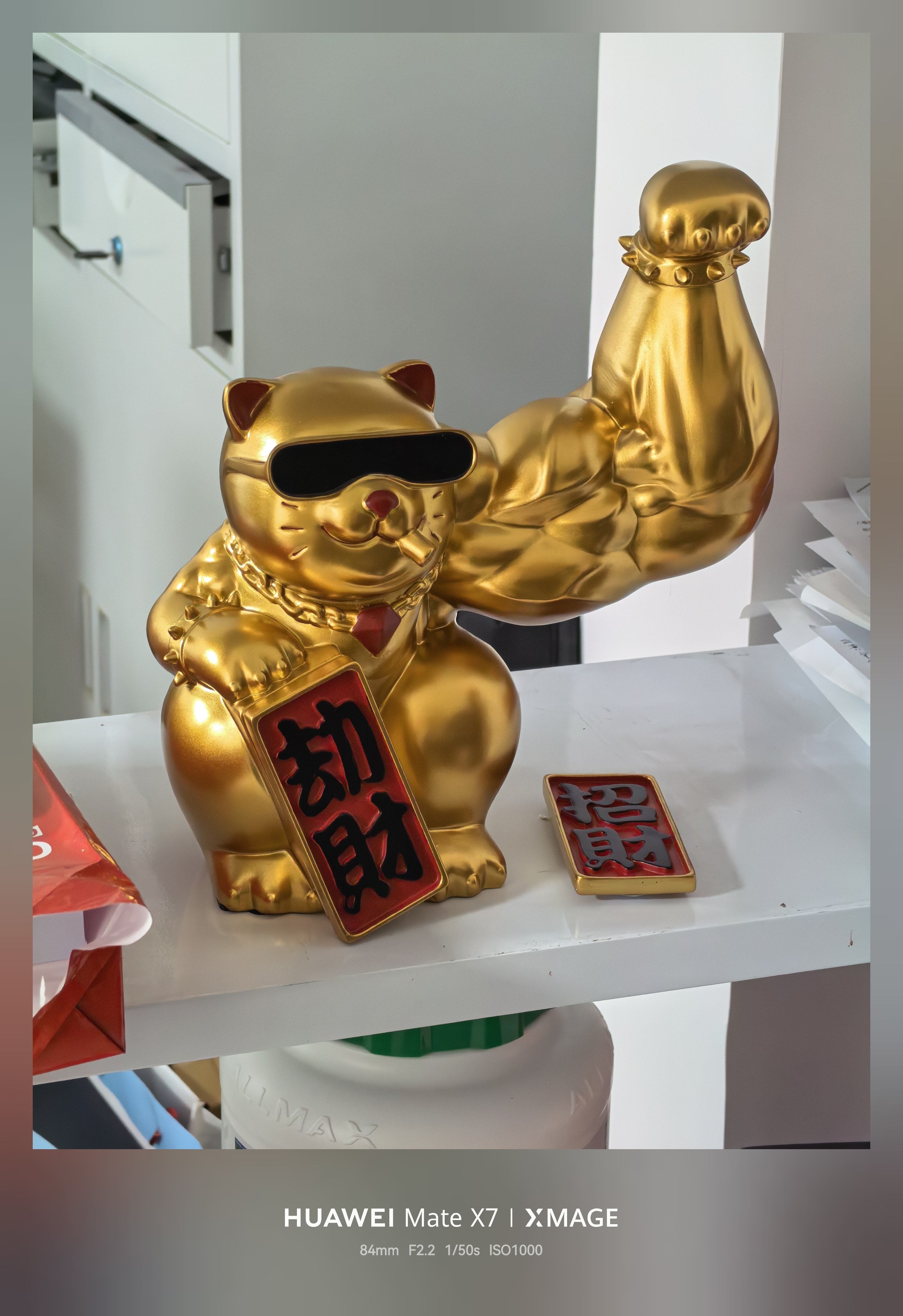 摄影作品《招财猫》。