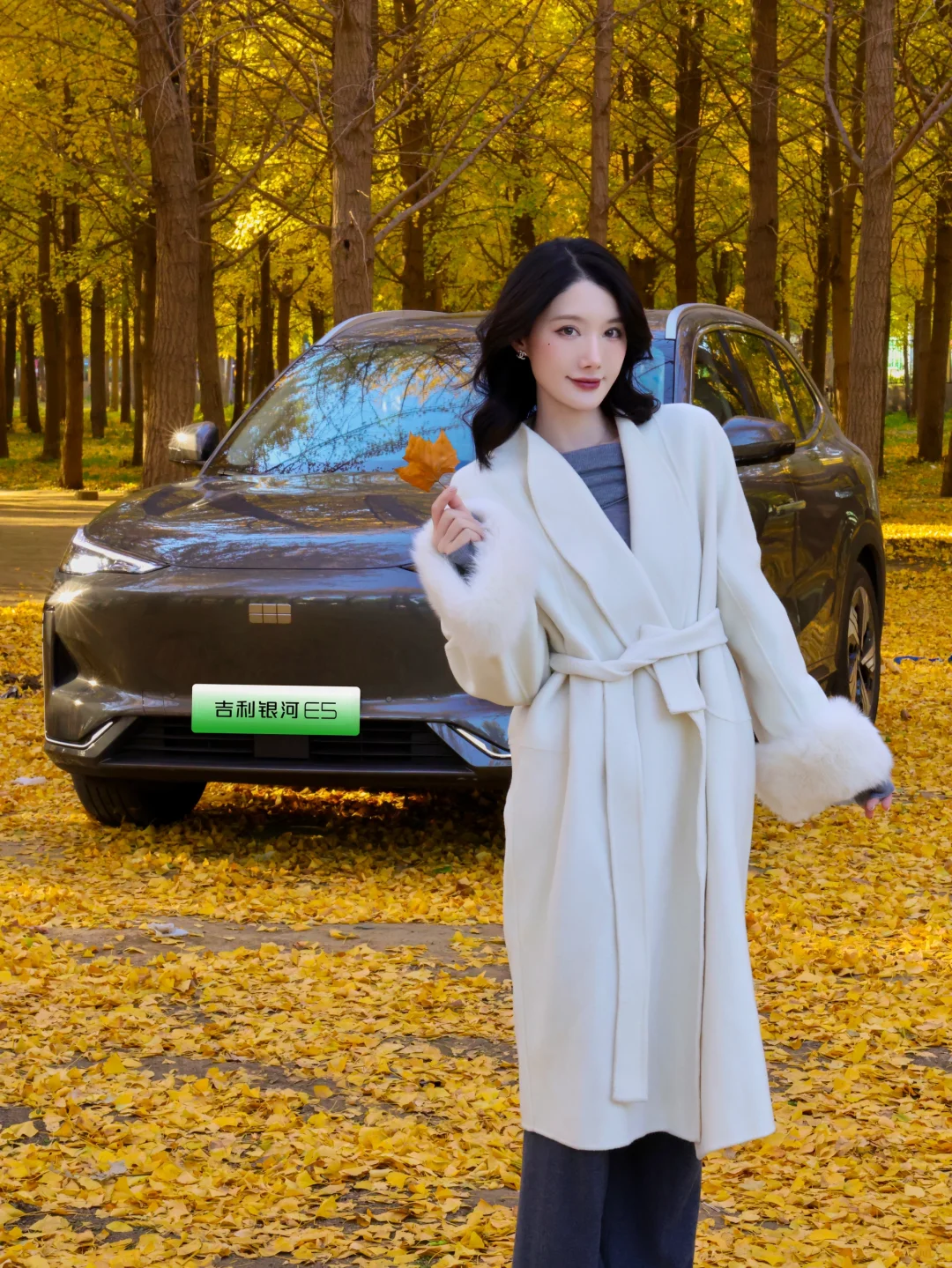藏不住了‼️能开车进去的无人银杏林🚗