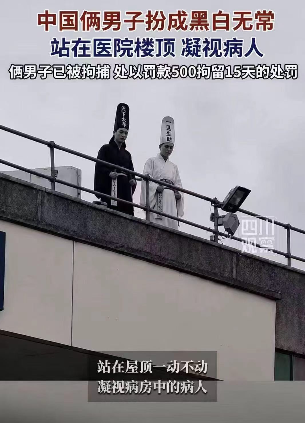 ？？？ 这没被打死算好的 (AI生成。我也被骗了) 