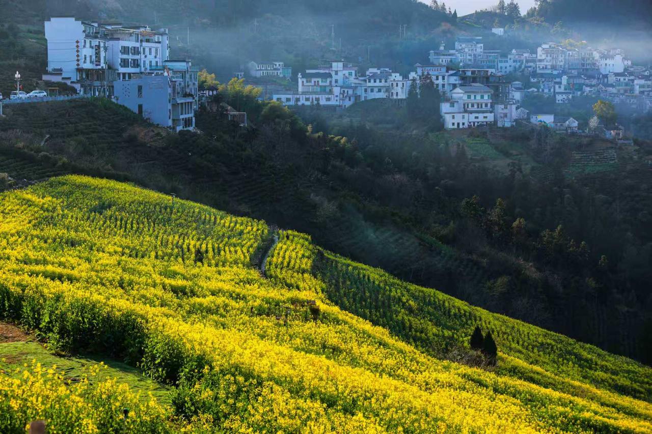 分享一张你拍的最美春天春天花会开