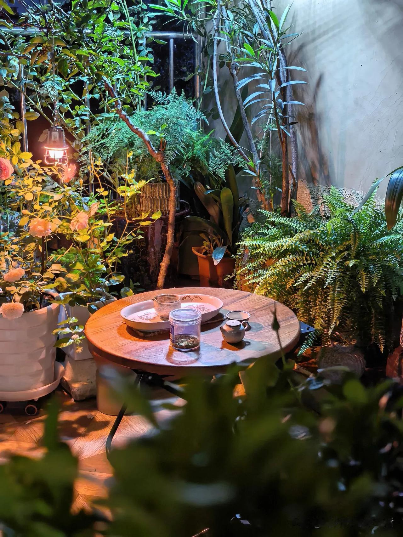 晚上在露台坐着，翻看抖音，看到有博主的oppo手机拍美食探店效果不错，图片质感很