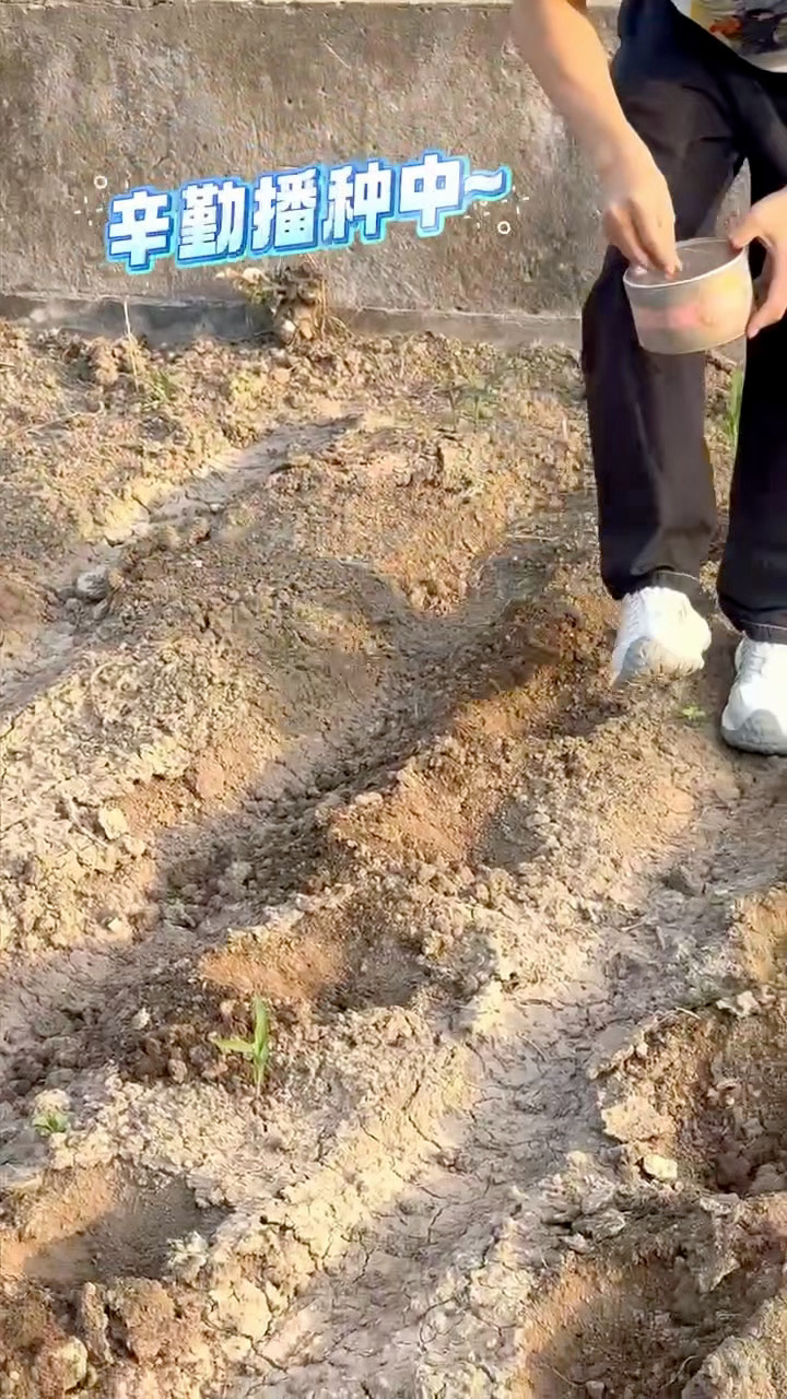 小沈阳有自己的种地吧看了小沈阳的vlog真的完全就是我心目中的田园生活呀！挖土拔