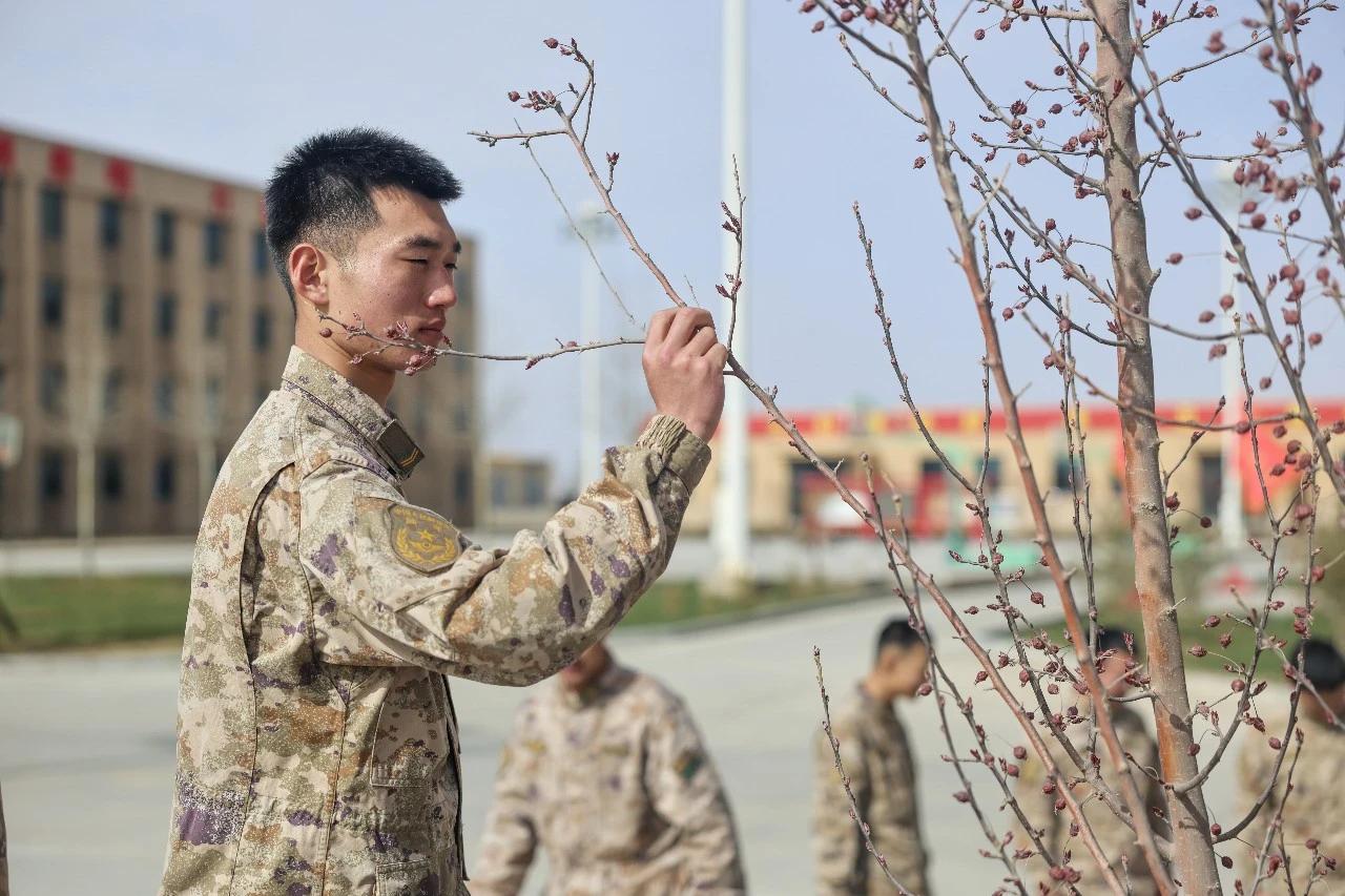 我表弟四年前报考国防科大，结果因为视力问题而失去了这一次宝贵的机会。现在他大学毕