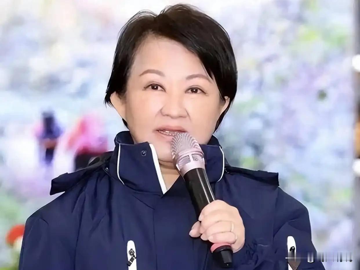 2025年国民党主席选举，卢秀燕选择婉辞参选，专注地方治理。但后续防务预算等重大