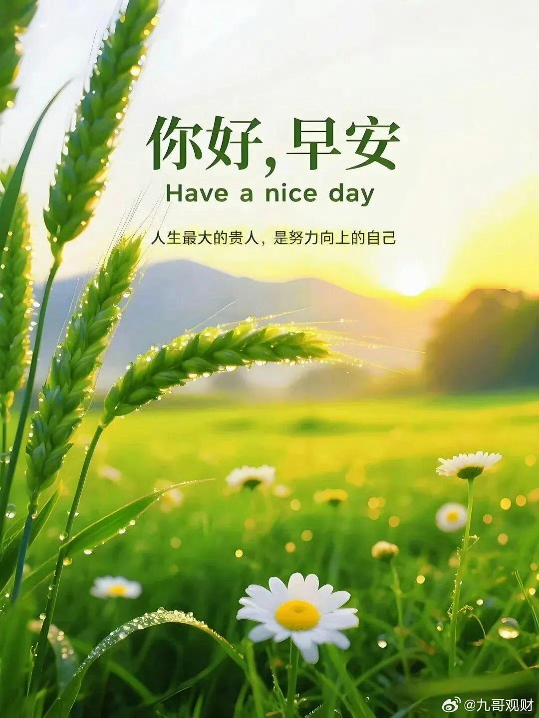 老祖宗留下的改运秘决：1．存钱就是改运2．早睡就是续命3．独处就是养心4．自律就