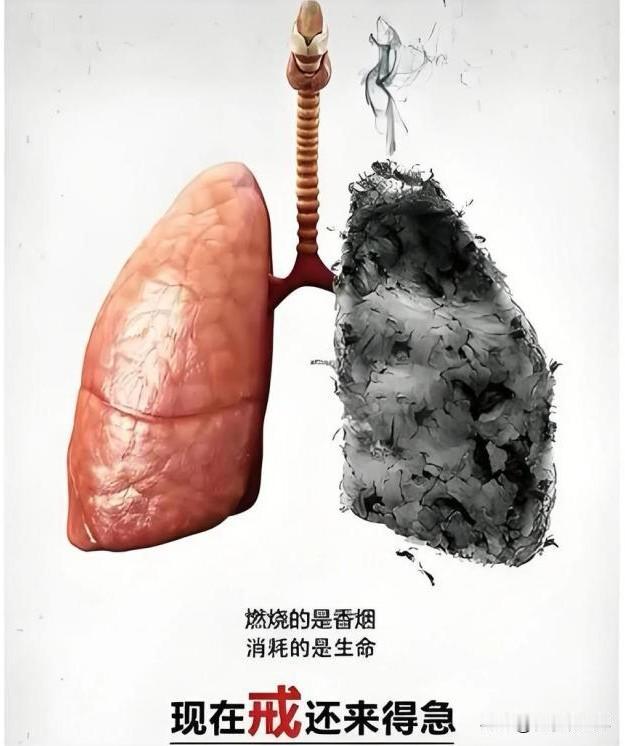 反复咳嗽、咳痰，说明吸烟引起了健康问题，身体发出了求救信号？如何辅助清肺和修复？