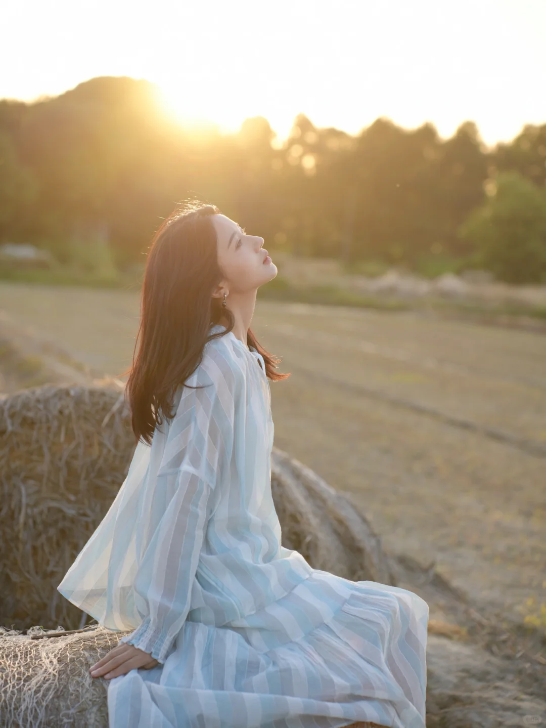 夕阳下的逆光好美