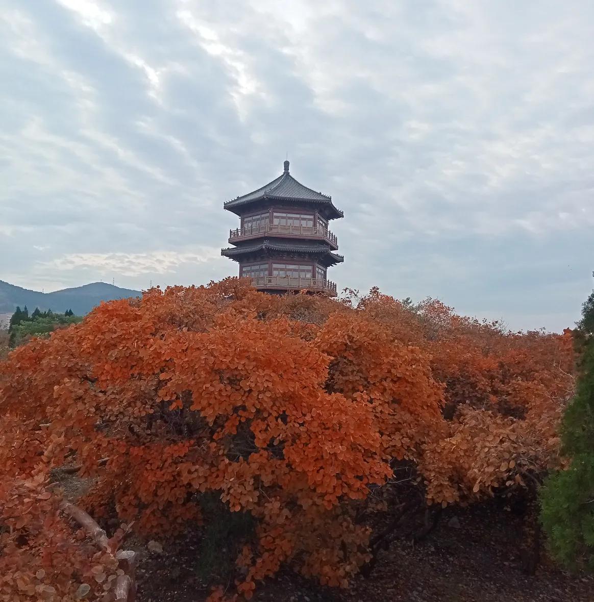 俩字，“满意”，其他状况字数都超啦！
对退休人员而言，只要身体健康，每月有几千元