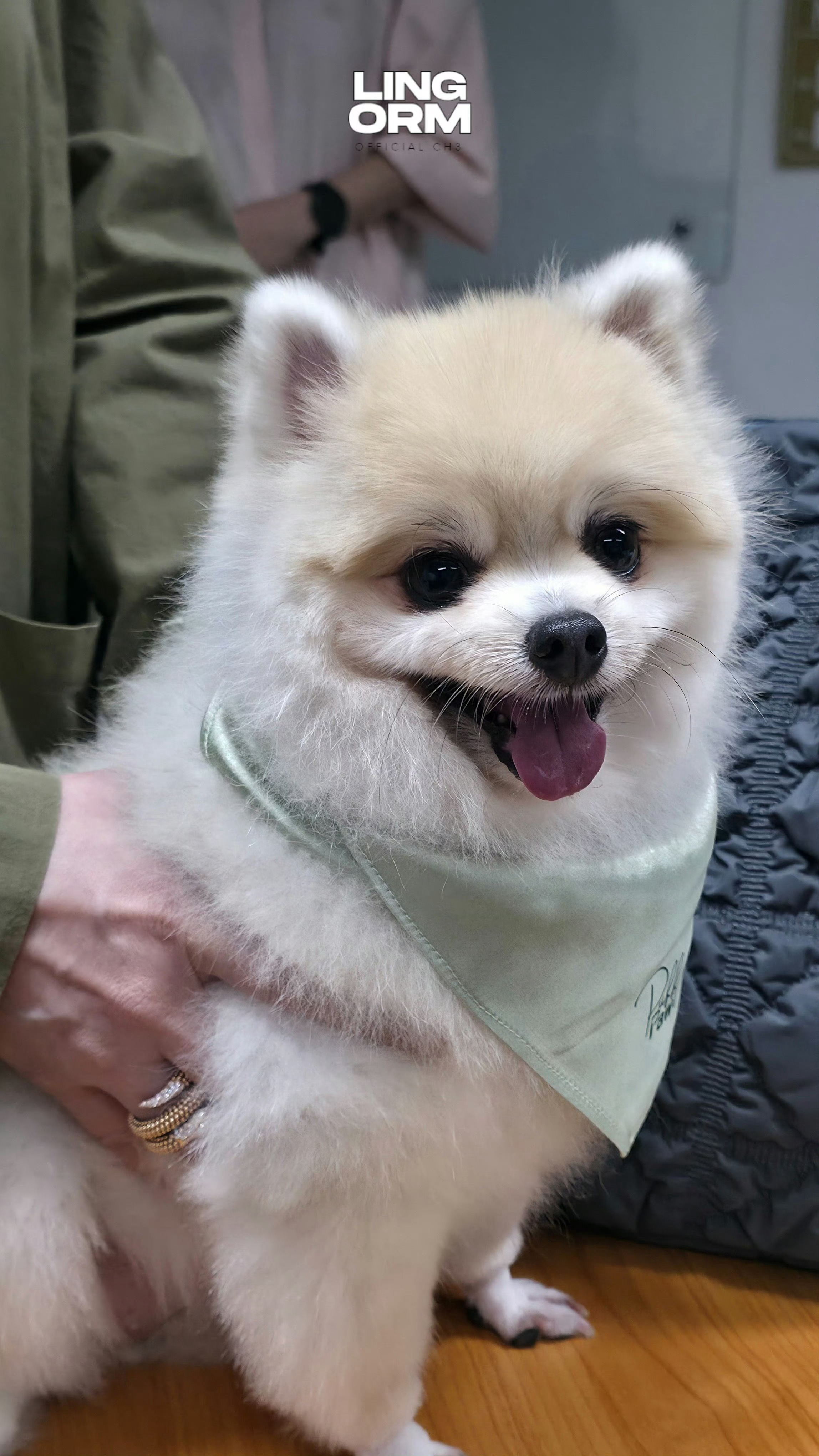 今天有们女明星出场 