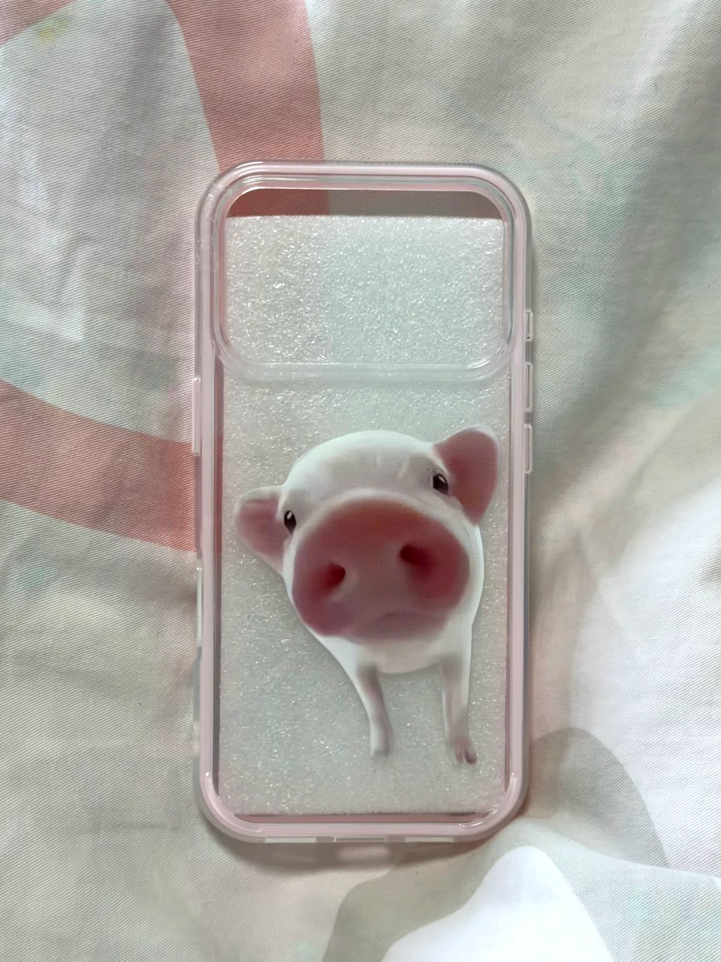 小猪猪 