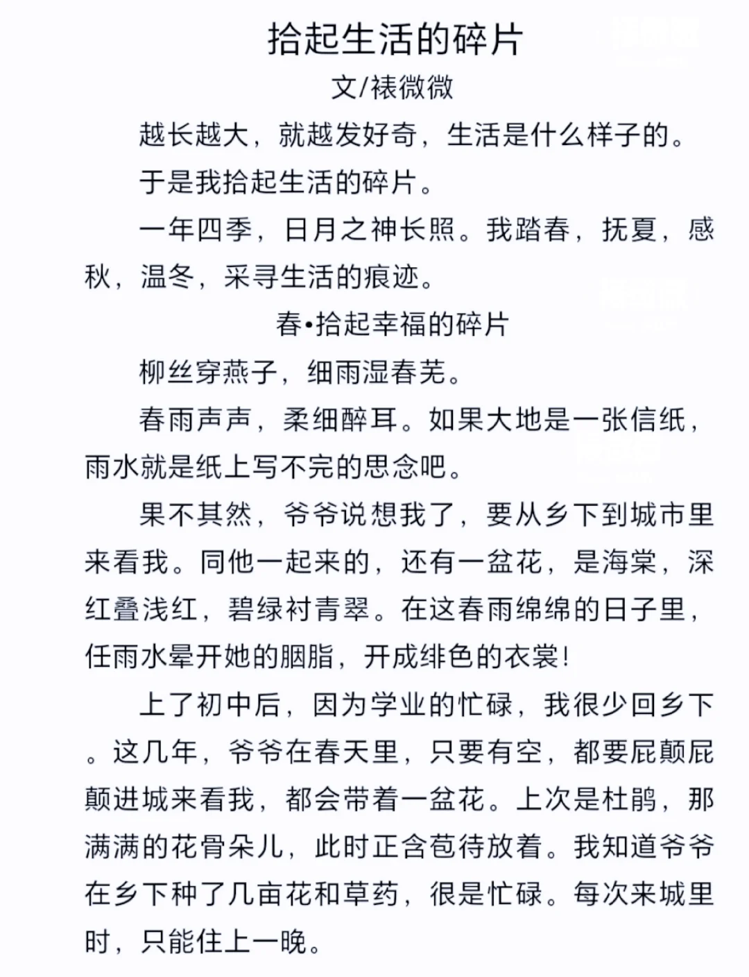 24年中考备用作文《拾取生活的碎片》！