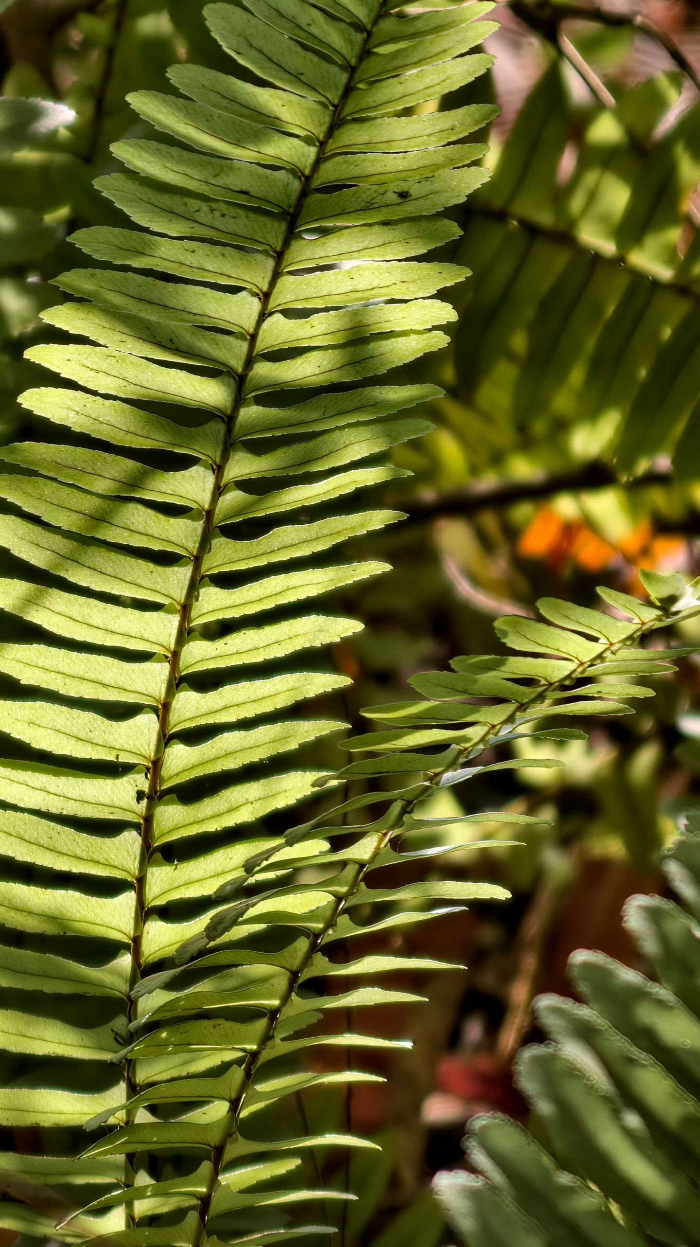 一个内心丰盈的人，不用靠人群的热闹来填补空虚，不用借他人的目光来确认自己。一半素