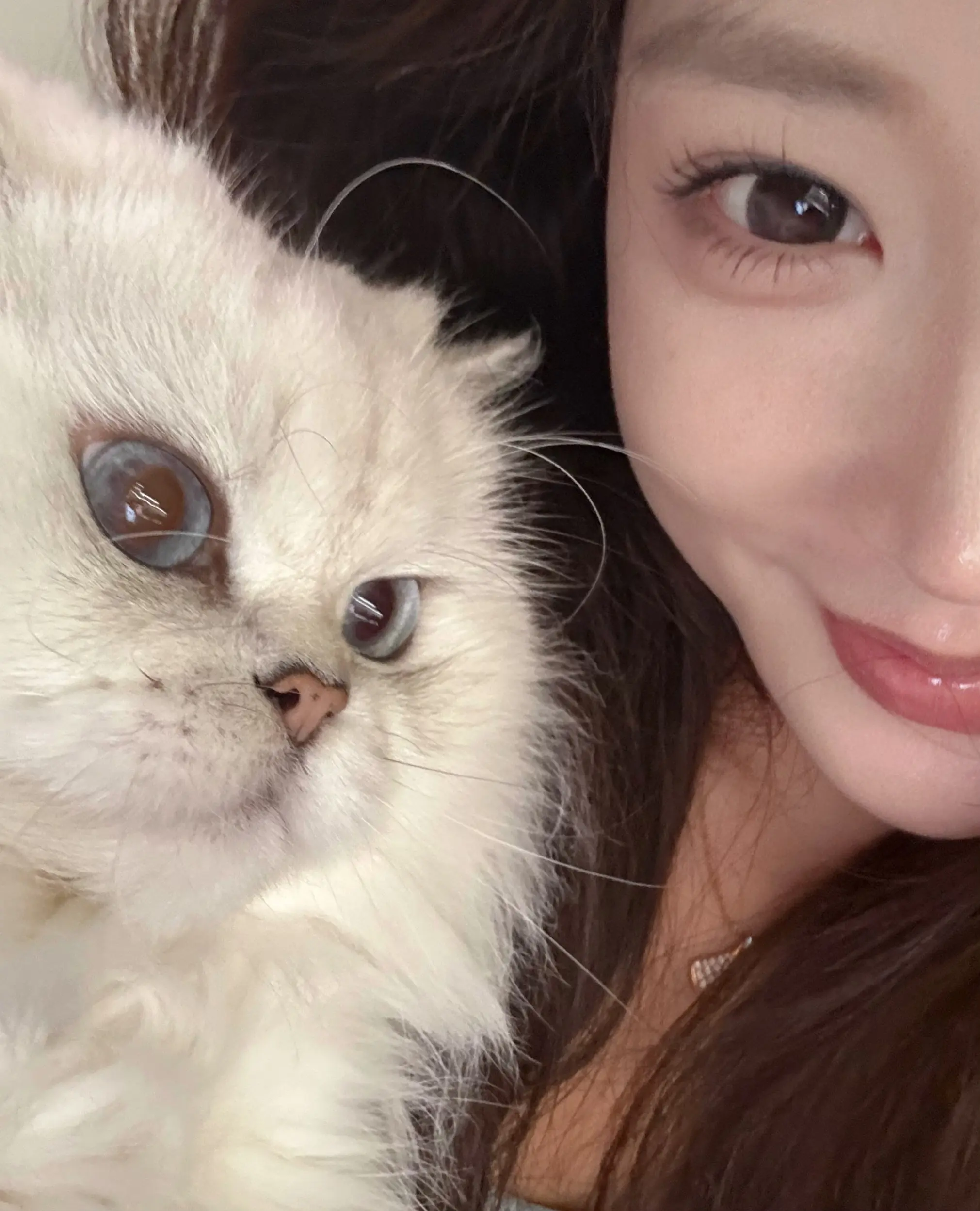 猫咪猫咪猫咪猫咪 看看你镜头下的猫猫