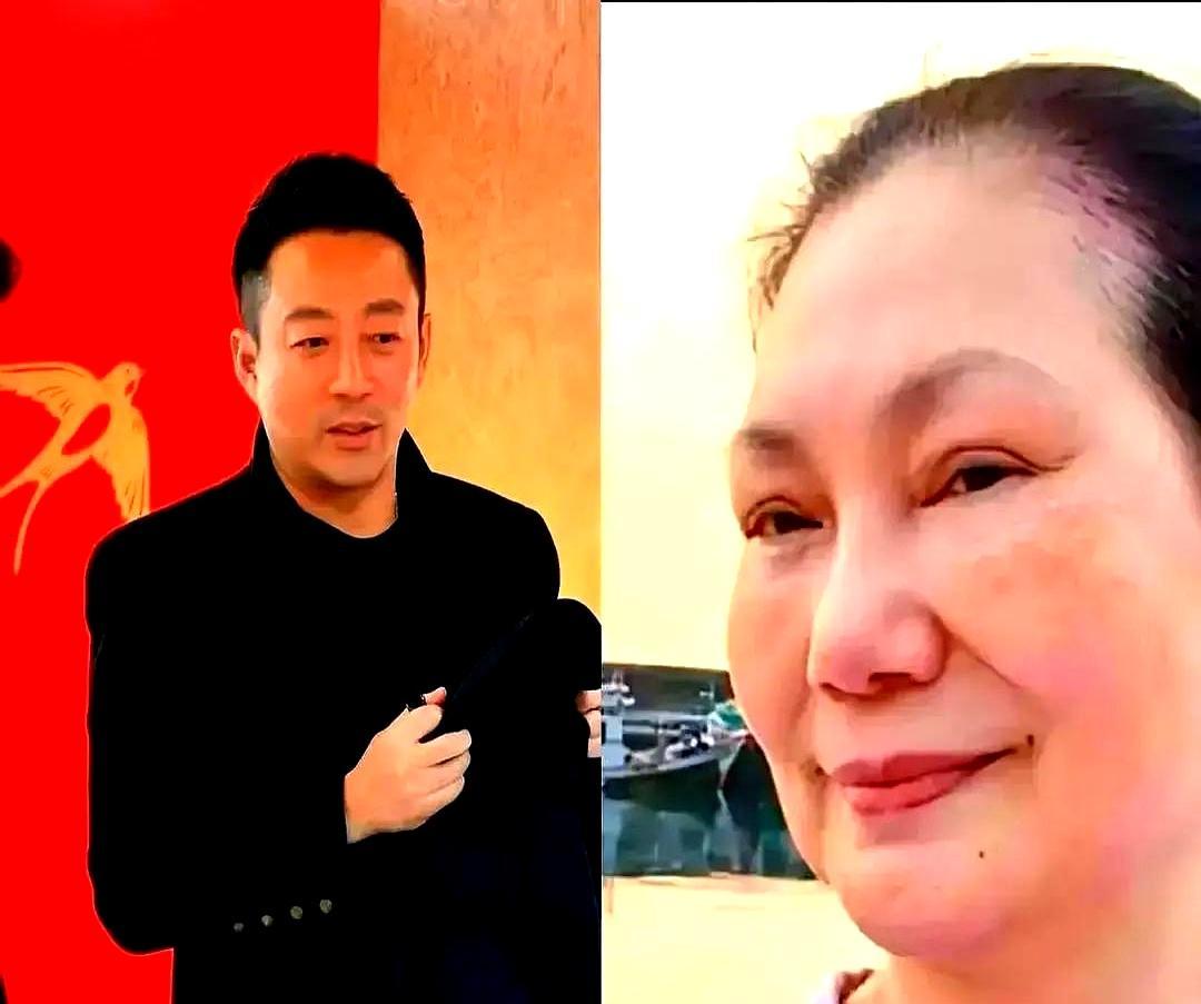 汪小菲抢孩子，具俊晔放弃10亿？我差点就信了，直到翻开张兰的直播间。
 
剧本里