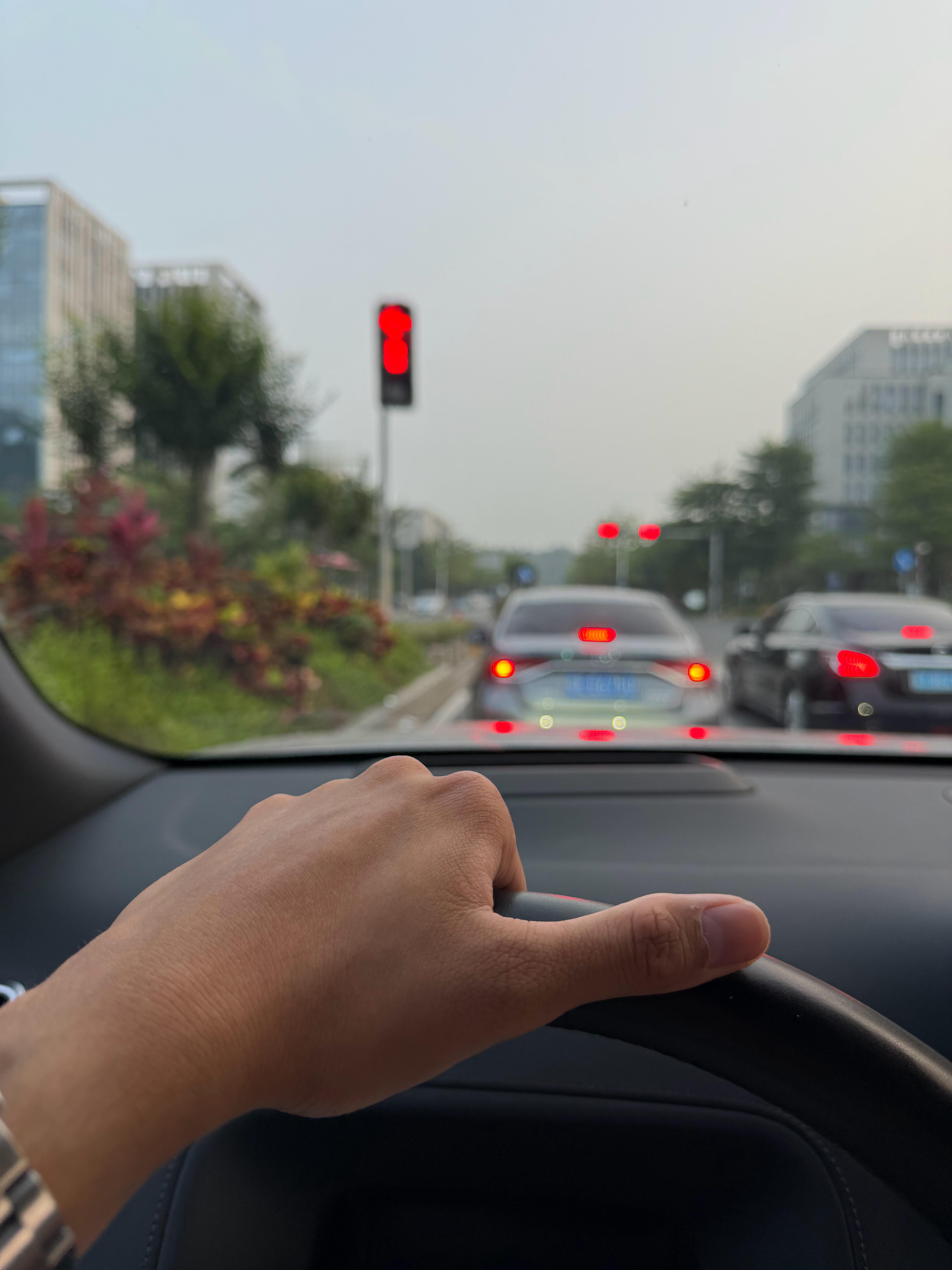 早睡早起身体好☀️ 佛山·三山森林公园