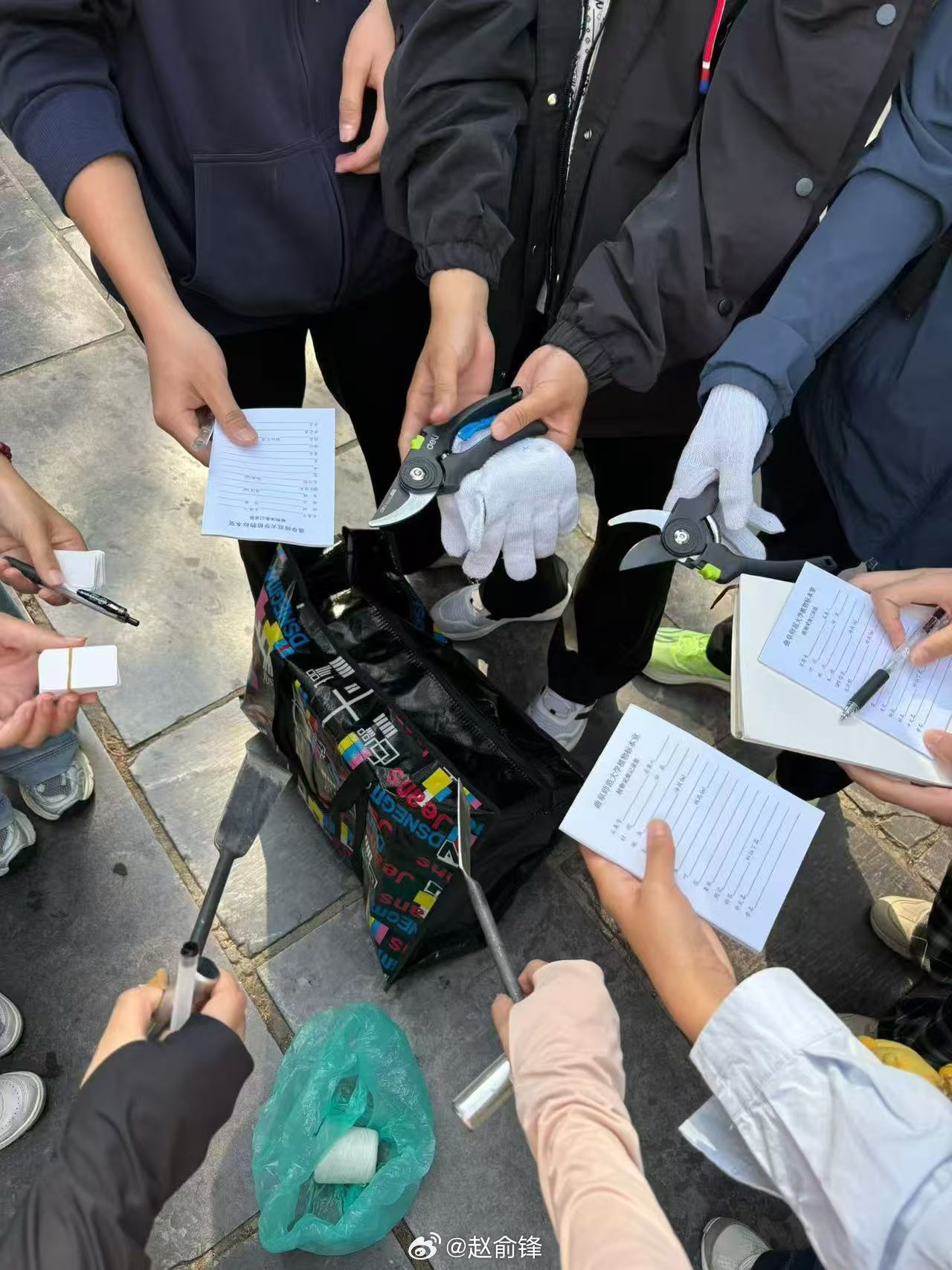 【探古林，守文脉】曲阜师范大学暑假社会实践 7月15日，曲阜师范大学生命科学学院