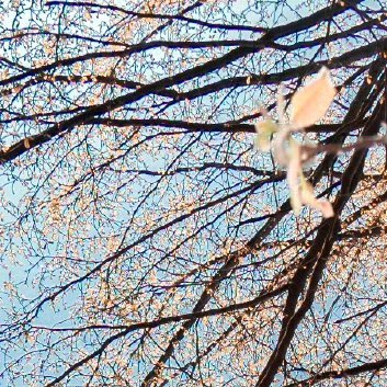 阳光信用‎阳光‎信用 ‎每日一善 善是一种自然的流露,没有一点造作,没有一点企求