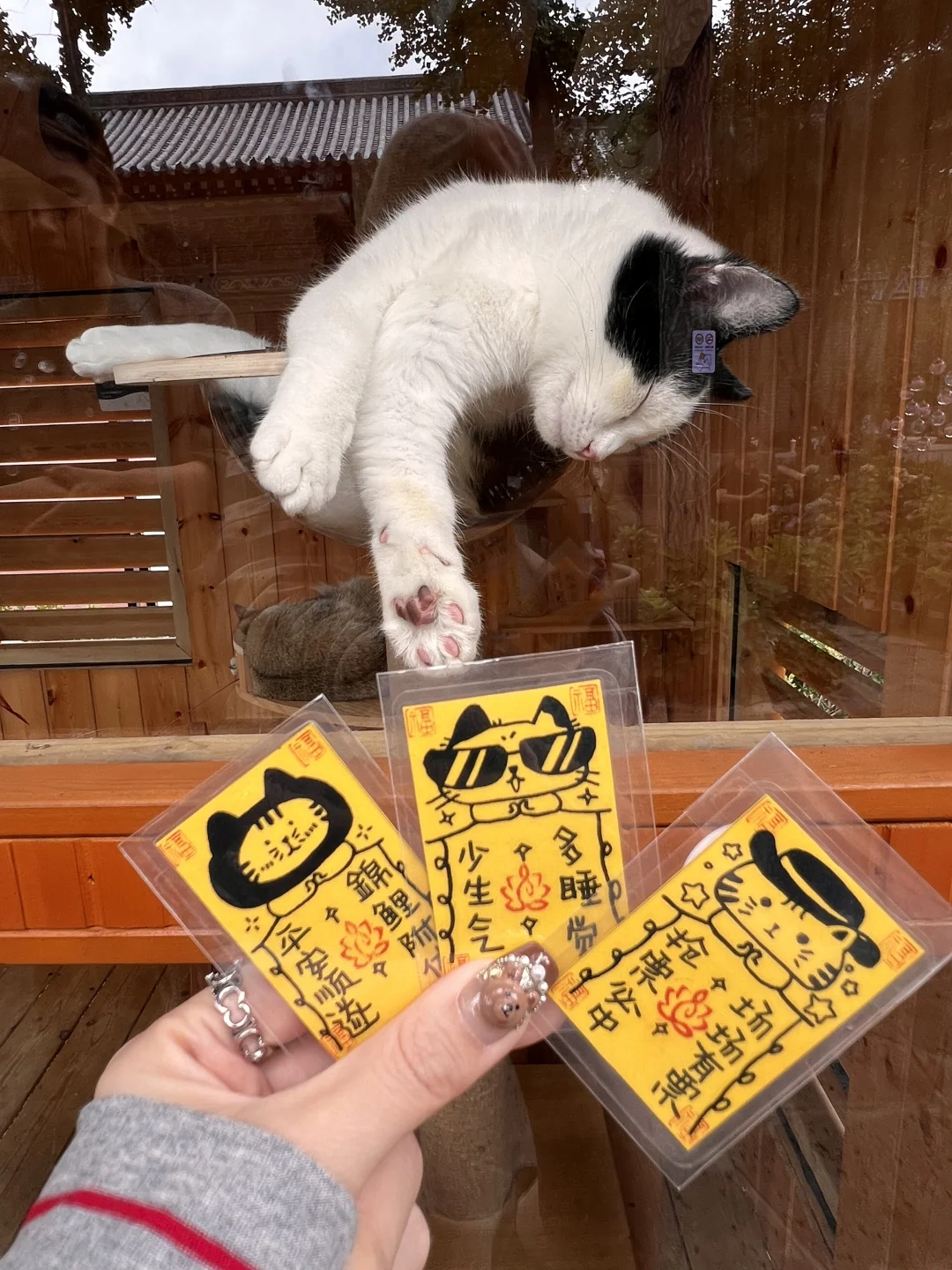 沈阳东塔！！也有猫猫卡啦！！！🐱