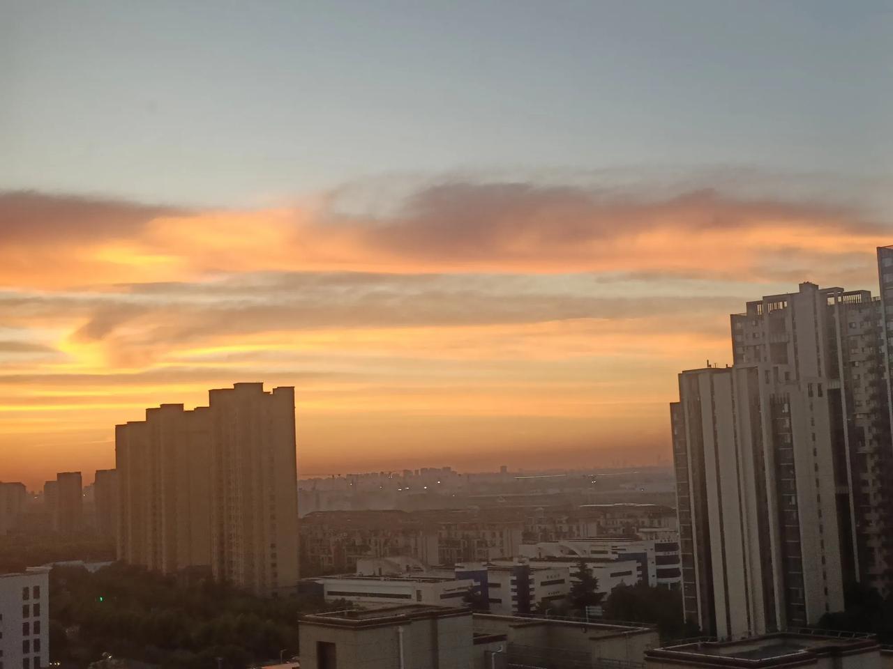 清晨，霞光铺满嘉定的天际，流云被朝阳晕染成橘红与淡粉。远香湖面浮着薄薄晨雾，粼粼
