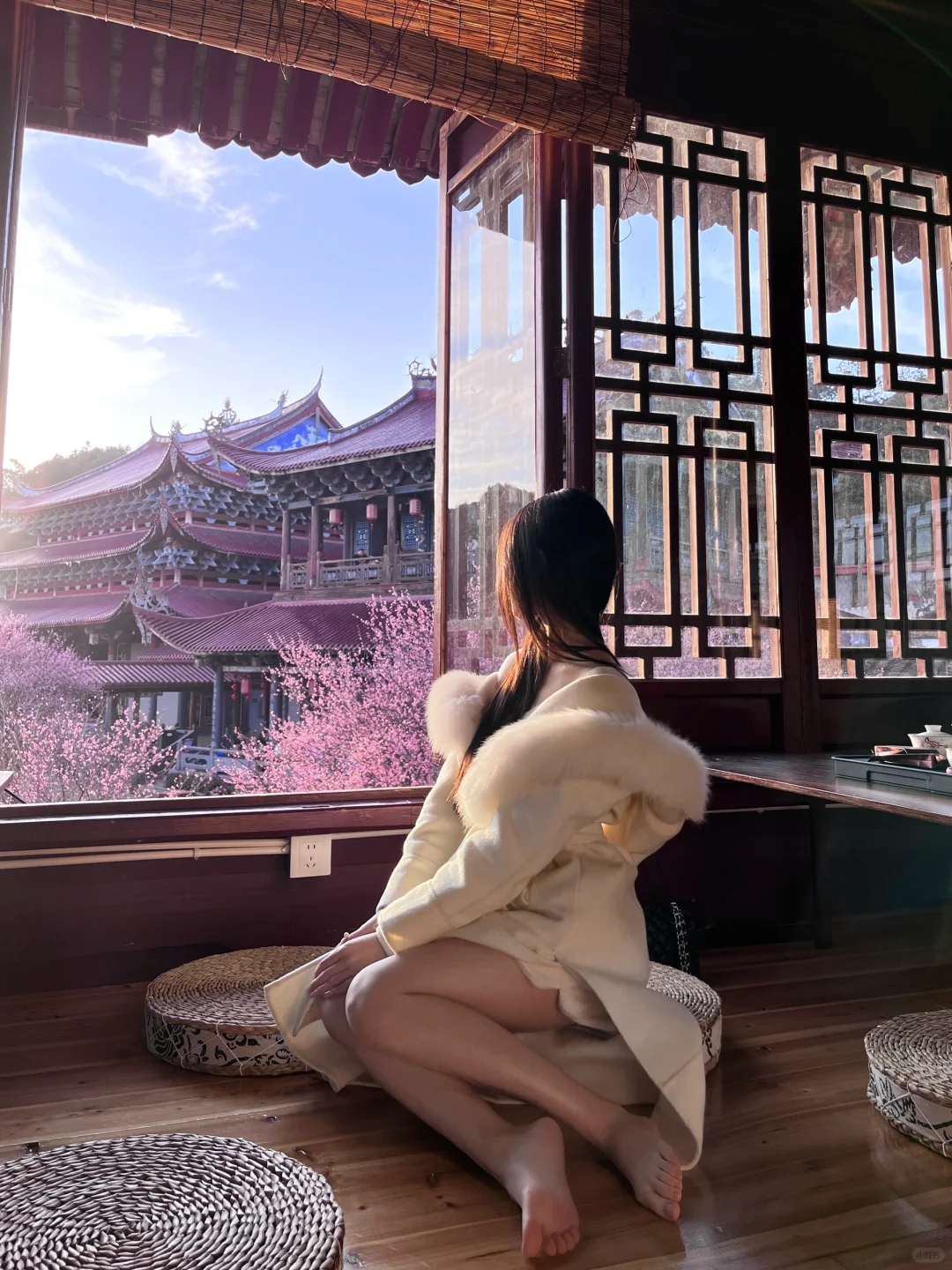 赏梅·饮茶|凌寒独自开🍵|福州林阳禅寺茶馆