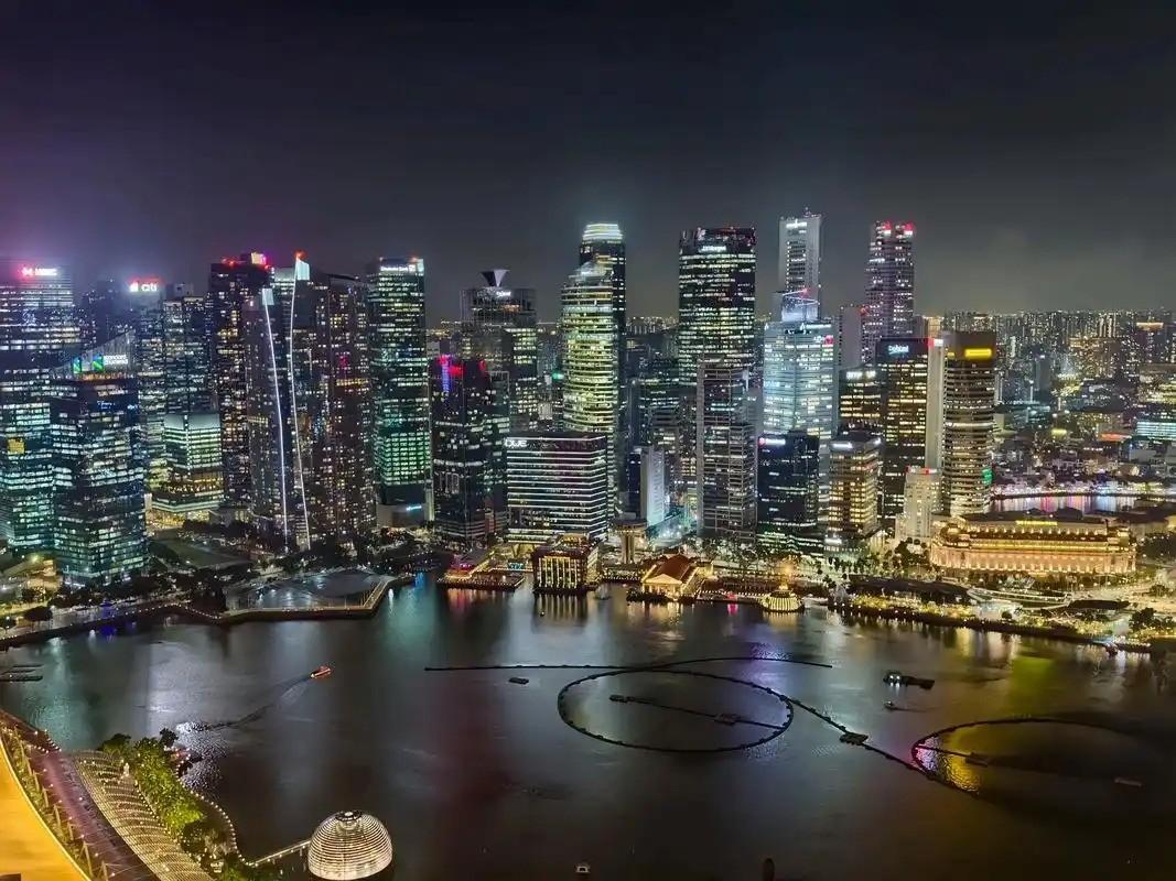 李显龙曾说，真正的新加坡人要认清一个事实，新加坡不是华人国家，只是华人占多数而已