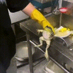 热搜上有人别破防，我来说一组神秘符号，有的是人破防 00后男艺人 72888 2