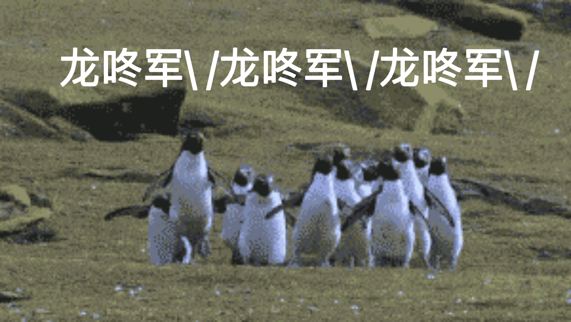 刘宇宁在线教学龙咚军我真的尽力学了，但是鼻子后端我关不掉，斗鸡眼也不会……[跪了