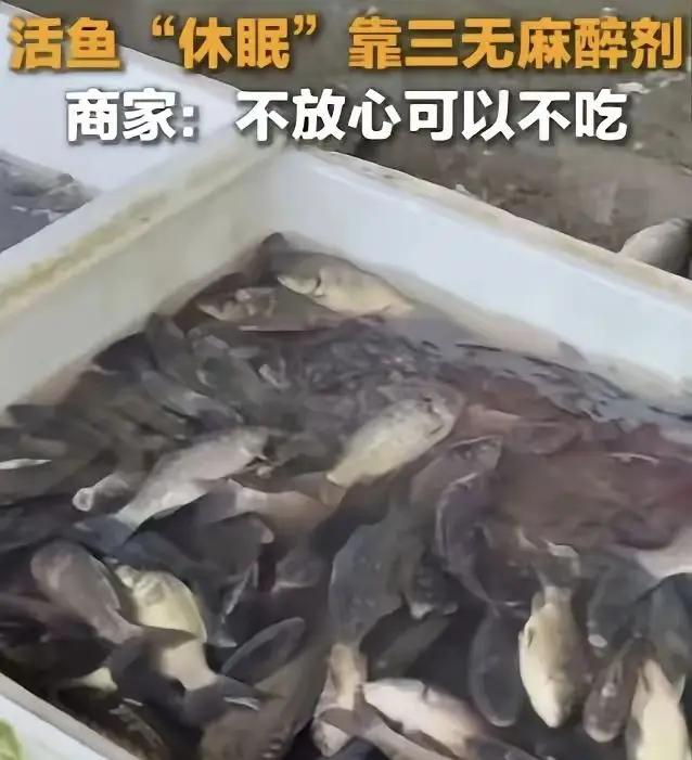 太恶心了，央媒曝光活鱼内幕！

3月23日央媒报道，中国多地水产市场为方便运输，
