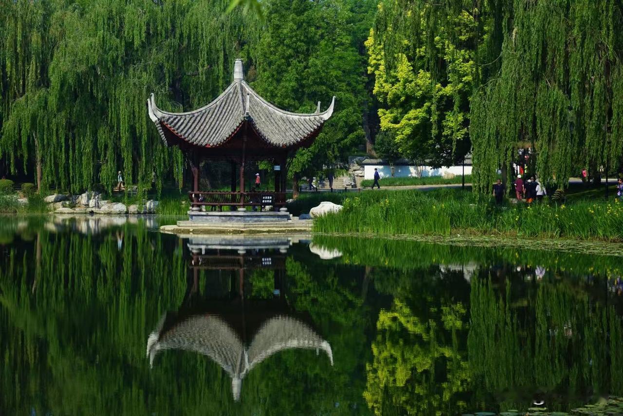 去北京住在陶然亭附近，一早一晚去陶然亭散步成为了一种习惯，去散步就带上相机，随拍