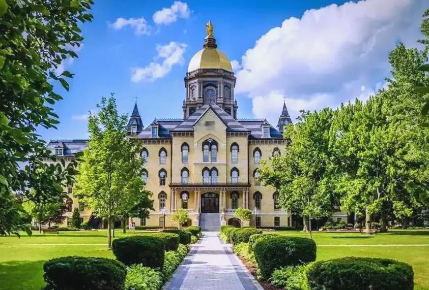 就业市场，这几种标签要去掉：

1. 第一学历出身标签（只看本科出身，否定后天努